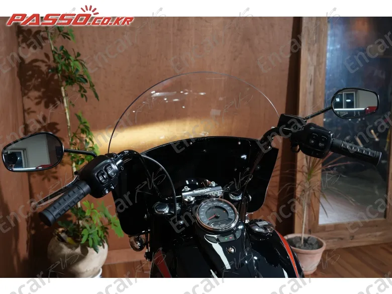 Harley-Davidson Flstc - фото 3