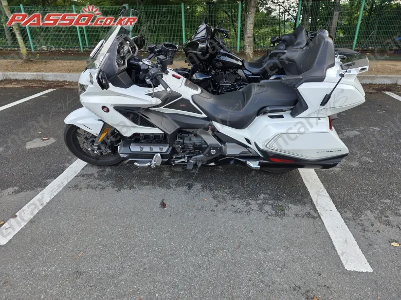 Honda Goldwing Mt - фото 1