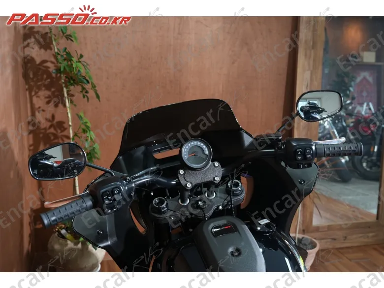 Harley-Davidson Low Rider St - фото 3