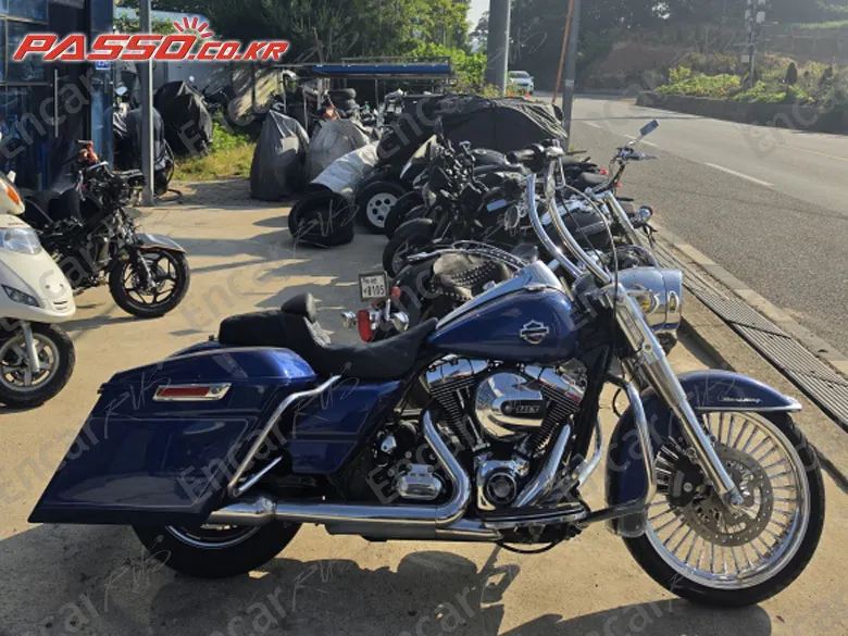 Harley-Davidson Flhrs - фото 0