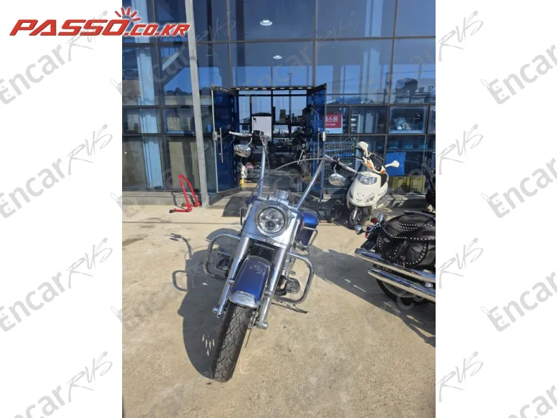 Harley-Davidson Flhrs - фото 3