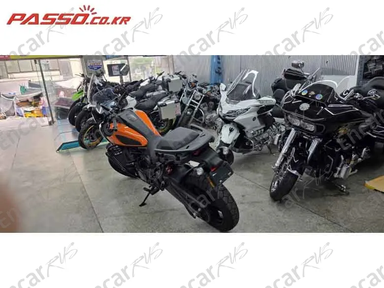 Harley-Davidson Pan America 1250 Special - фото 2