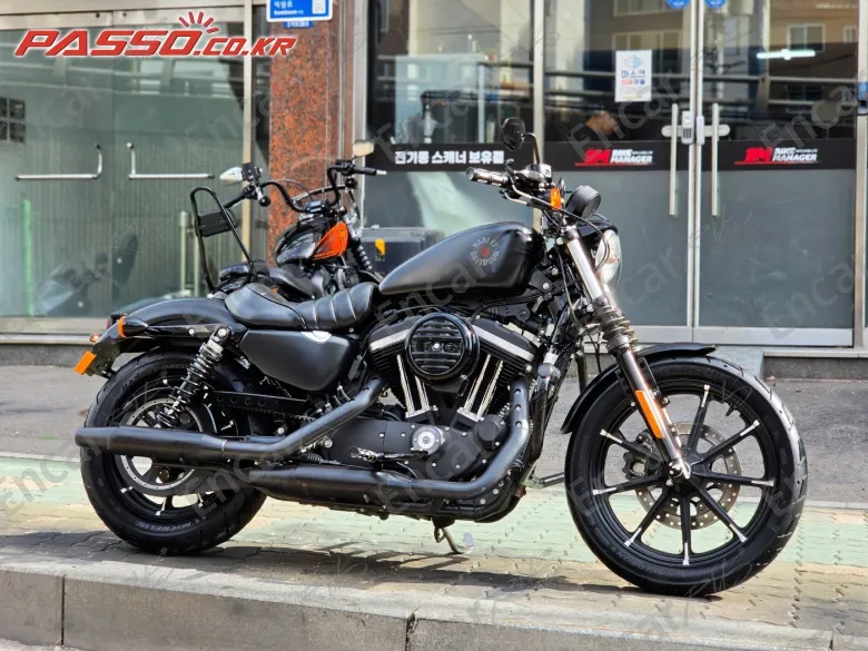 Harley-Davidson Xl 883 N - фото 0