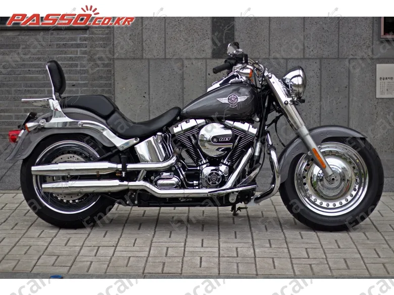 Harley-Davidson Flstf - фото 0