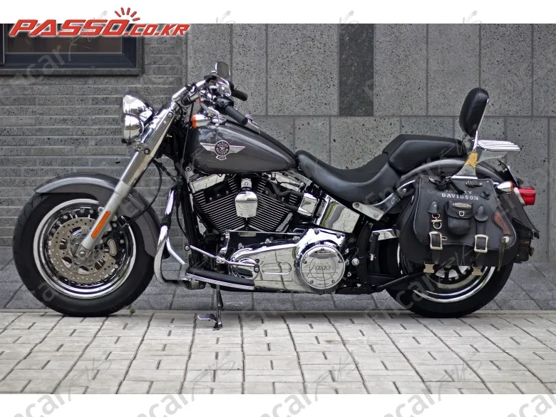 Harley-Davidson Flstf - фото 1