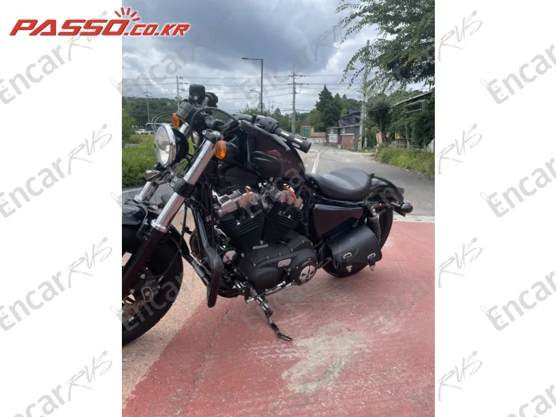 Harley-Davidson Xl 1200 X Forty Eight 48 - фото 6