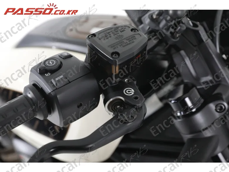 Harley-Davidson Sportster S - фото 6