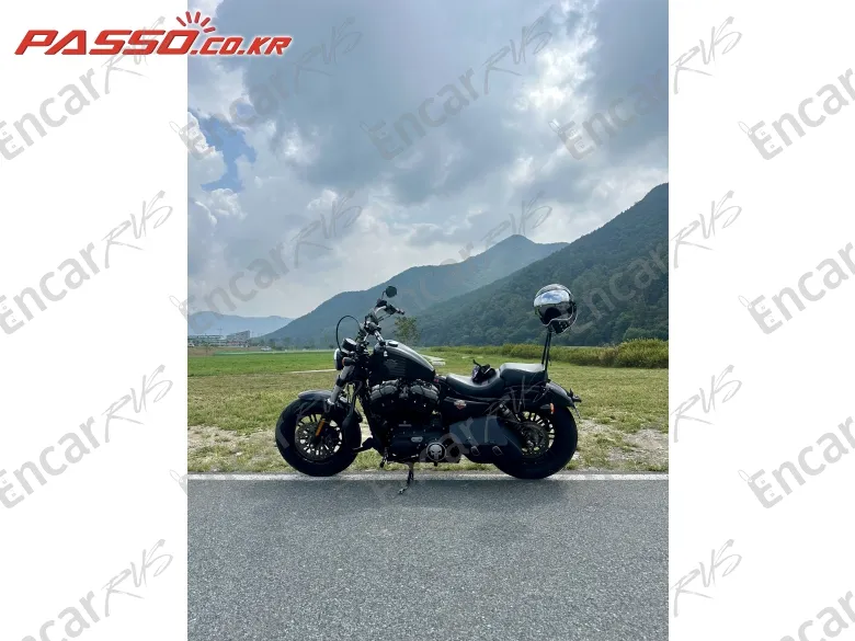 Harley-Davidson Xl 1200 X Forty Eight 48 - фото 1