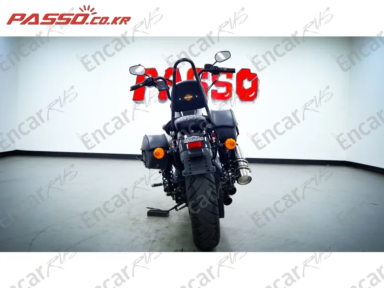 Harley-Davidson Xl 1200 X Forty Eight 48 - фото 2