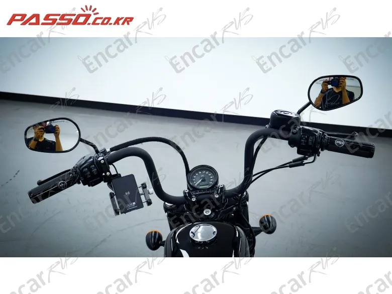 Harley-Davidson Xl 1200 X Forty Eight 48 - фото 3