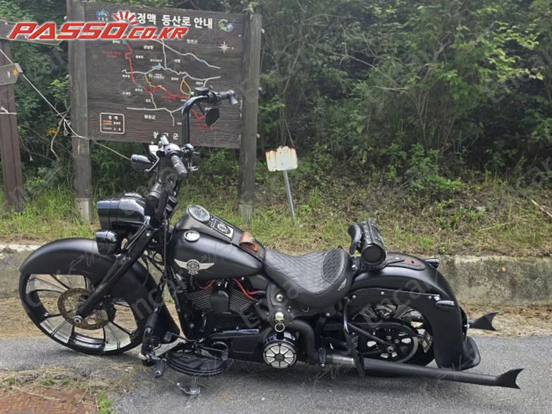 Harley-Davidson Flstf - фото 0