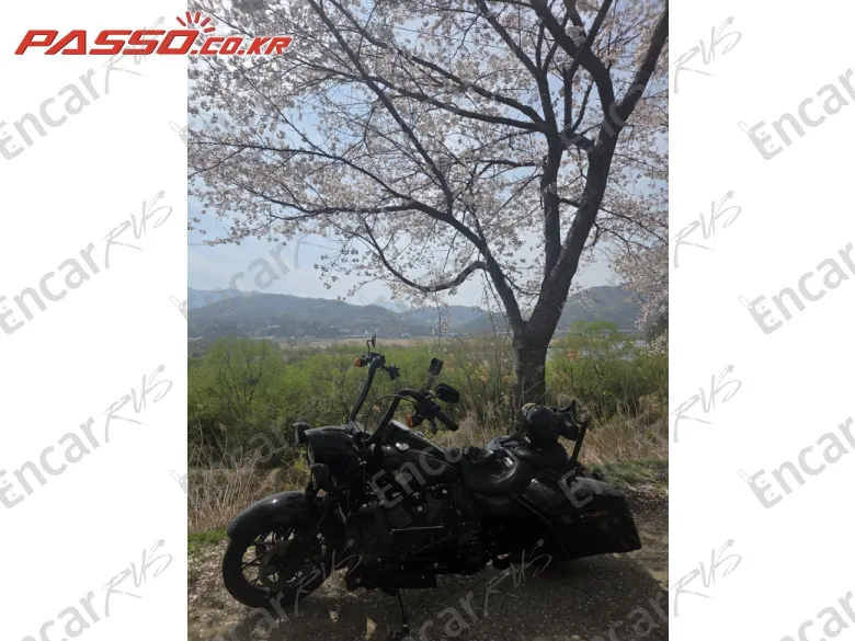 Harley-Davidson Road King Special - фото 4