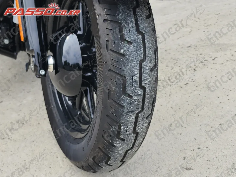 Harley-Davidson Flstc - фото 5