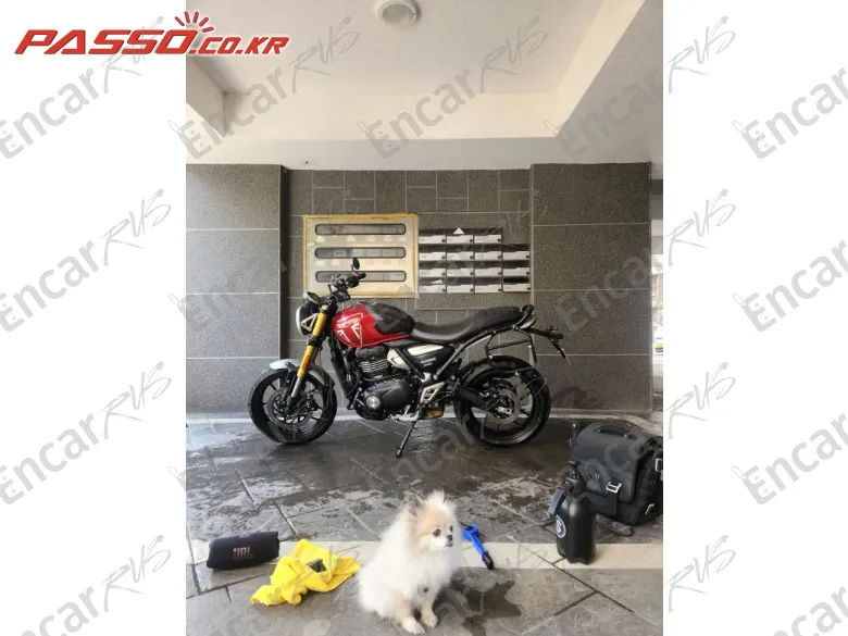 TRIUMPH SPEED 400 - фото 1