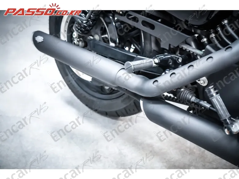 HARLEY-DAVIDSON ROADSTER 1200 - фото 6