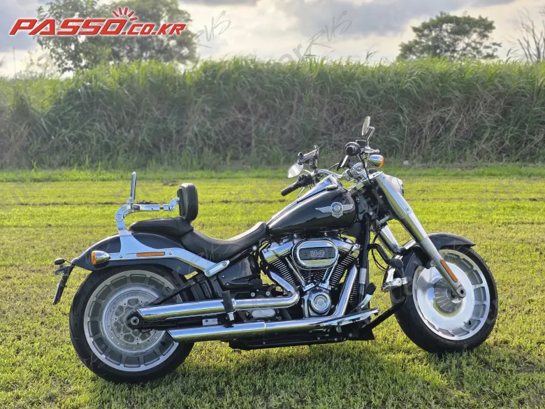 HARLEY-DAVIDSON FAT BOY 107 - фото 0