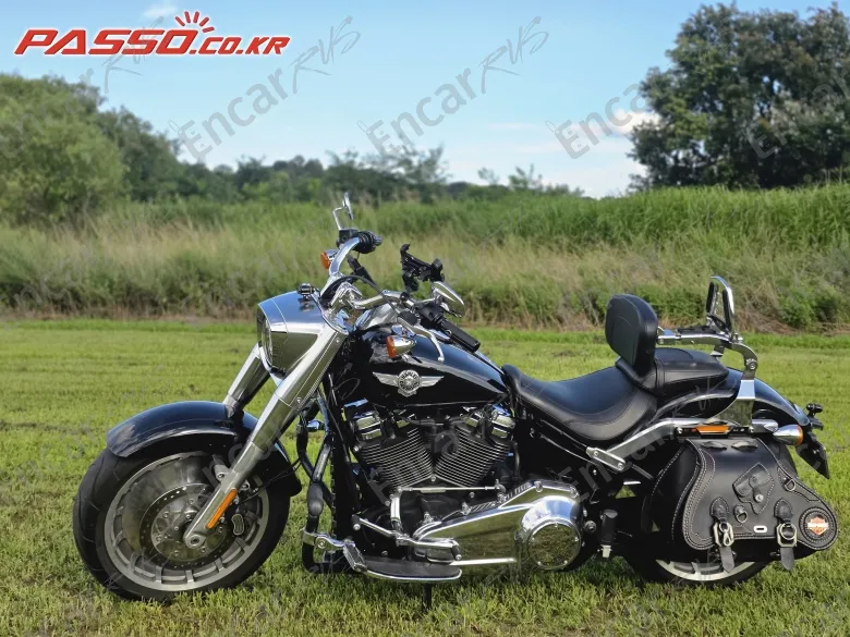 HARLEY-DAVIDSON FAT BOY 107 - фото 1