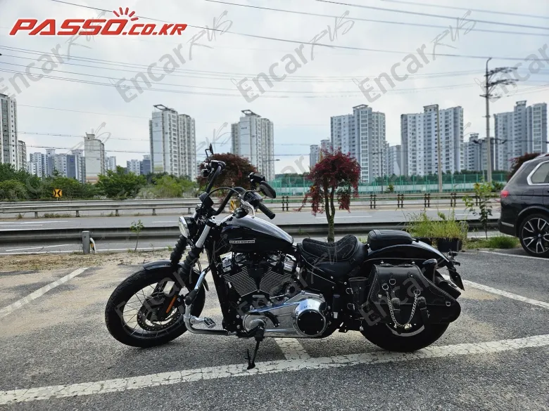 HARLEY-DAVIDSON STREET BOB 117 - фото 1