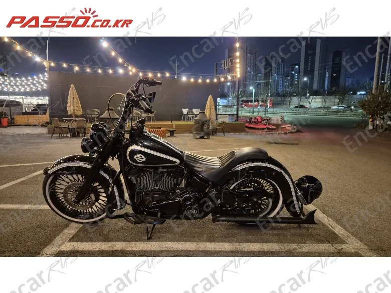 Harley-Davidson Flstc - фото 1