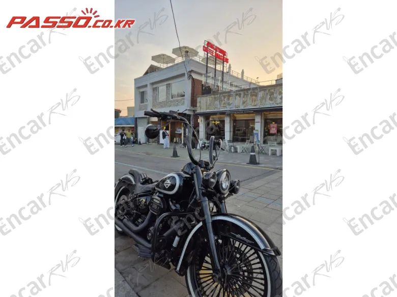 Harley-Davidson Flstc - фото 2
