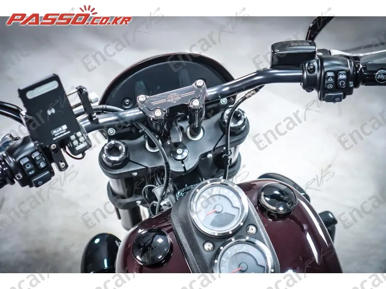 HARLEY-DAVIDSON SOFTAIL LOW RIDER S - фото 3