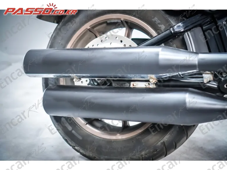 HARLEY-DAVIDSON SOFTAIL LOW RIDER S - фото 6