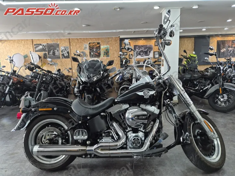 Harley-Davidson Flstfb - фото 0
