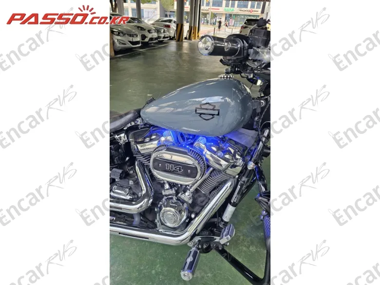 Harley-Davidson Breakout 114 - фото 3