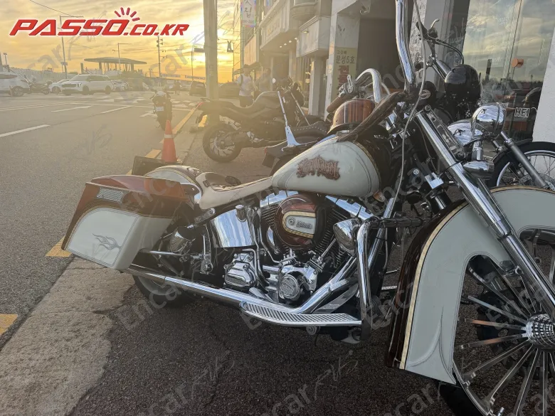 Harley-Davidson Flstf - фото 4