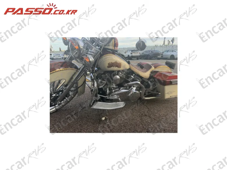 Harley-Davidson Flstf - фото 6