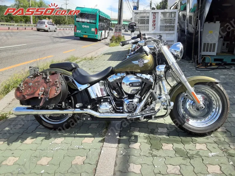 Harley-Davidson Flstf - фото 0