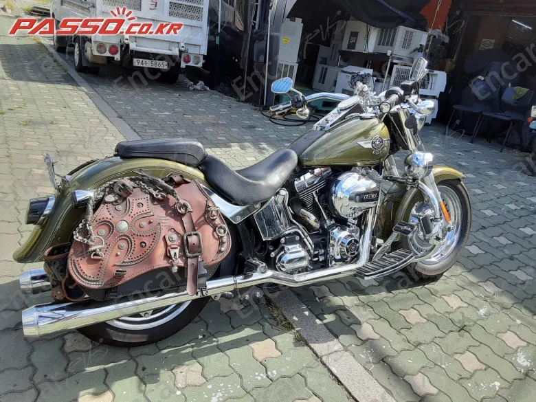 Harley-Davidson Flstf - фото 6