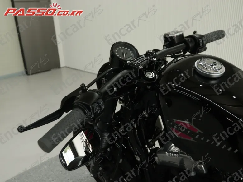 Harley-Davidson Xl 1200 X Forty Eight 48 - фото 3