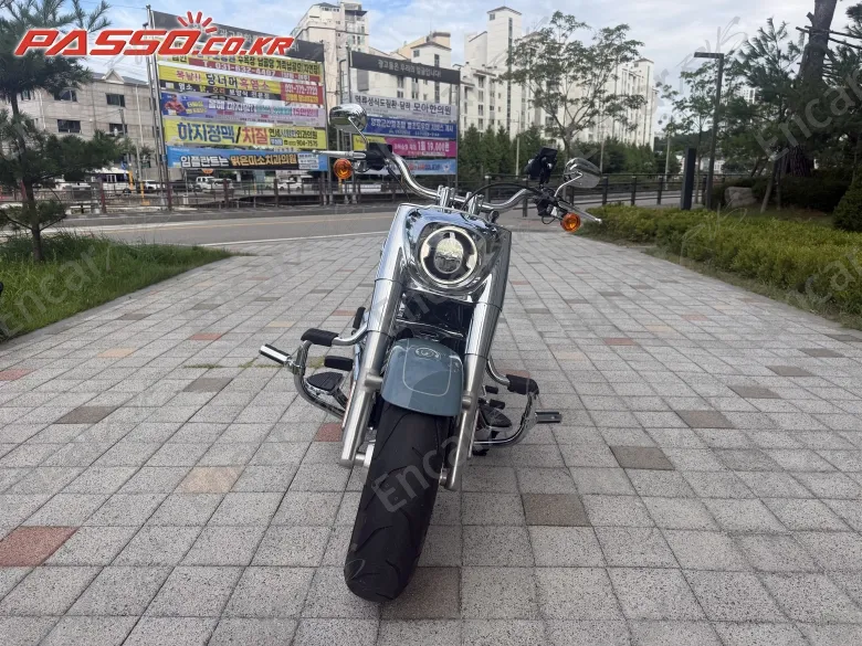 Harley-Davidson Fat Boy 114 - фото 3