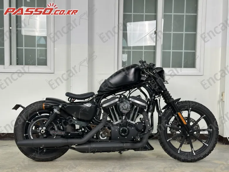 Harley-Davidson Xl 883 N - фото 0