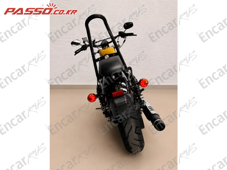 Harley-Davidson Xl 1200 X Forty Eight 48 - фото 2