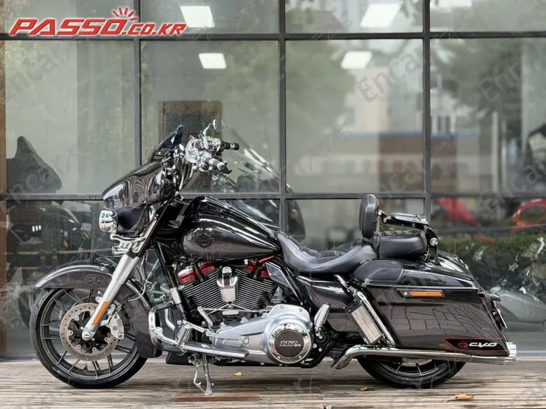 Harley-Davidson Flhxse - фото 1