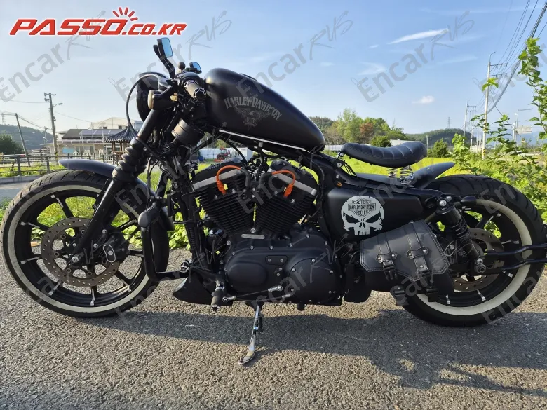 Harley-Davidson Xl 883 N - фото 1