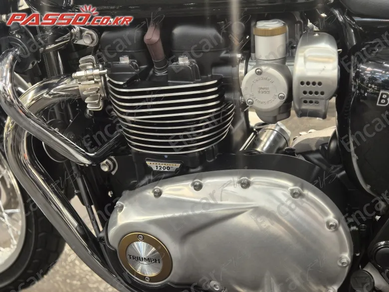 Triumph Bonneville T100 - фото 6