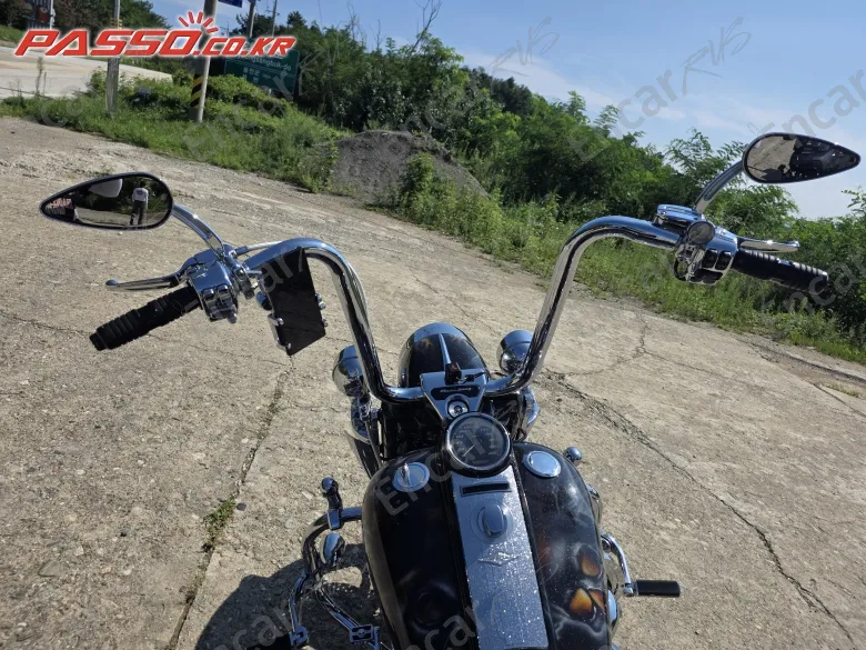 Harley-Davidson Flhr - фото 3